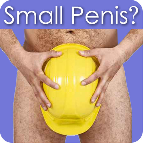 My partner Has a Small Penis. What Should We Do?