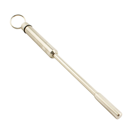 A Urethral Vibrator. Yes, It Goes In Your Pee Hole.